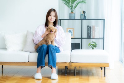 ソファの上に座る女性と膝の上に乗る犬