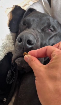 白目をむいて熟睡