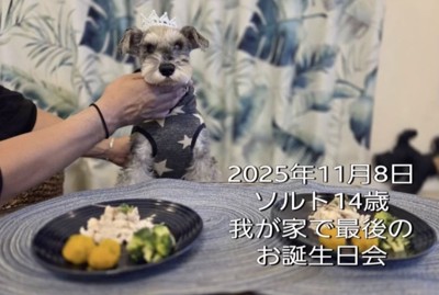 愛情と幸せがいっぱいの5377日間でした