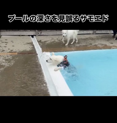 「助かった…」