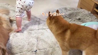 うにくんと取り合いに！！