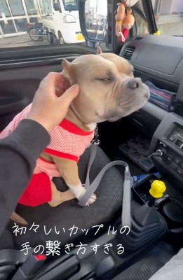 うっとりするリリーちゃん