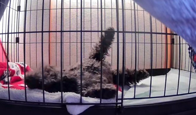 無防備すぎる…！