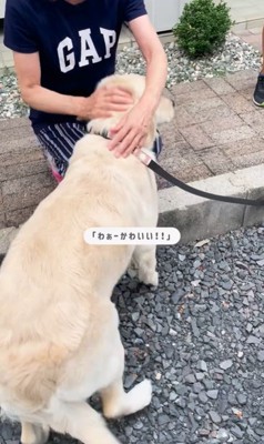 小町ちゃんと実家に帰省4