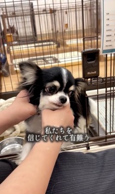 もう一度人間を信じてくれた