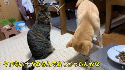 家族の時間が戻ったね