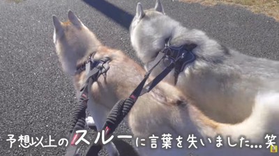 想定外のリアクションに絶句