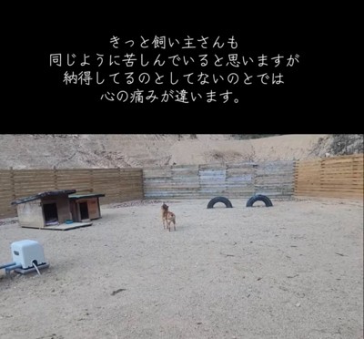 遠吠えする犬2