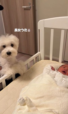 意外と平気そう♪