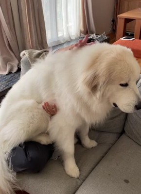 この日座っていた場所とは…