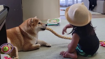 引っ張ってくれる?