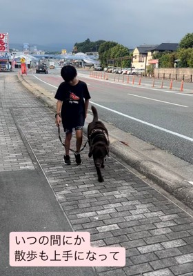 歩道で散歩する子どもと犬