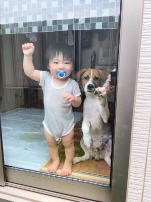 窓辺で並ぶふたり