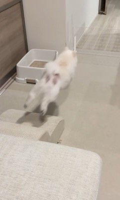 ぴょ~んっ