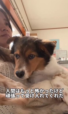 人間を受け入れるように