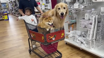 とっても楽しそう！！