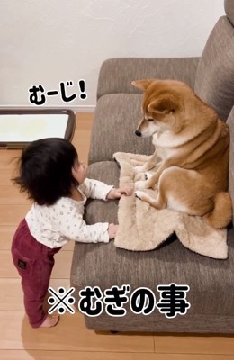 むぎちゃんコールするゆーちゃん