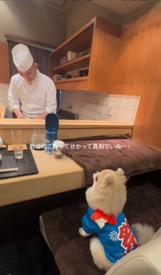 お店で食事するむぎくん4