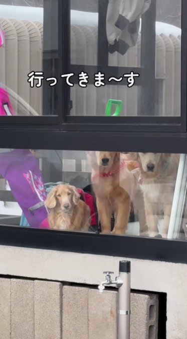 サンルームから…