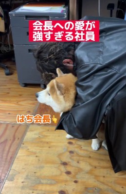 社員の癒しになるはちくん