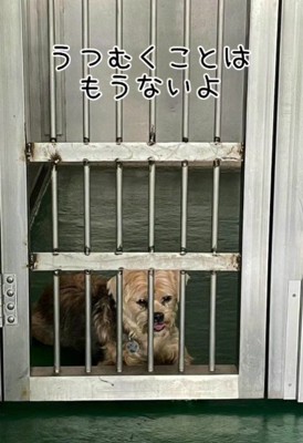 あのときはうつむいていたけど…