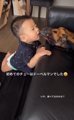 子供と大型犬