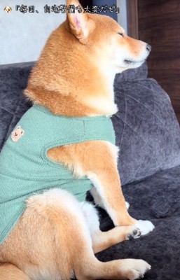 瞼が落ちてくる…