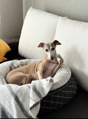 ずーっと見ちゃいます