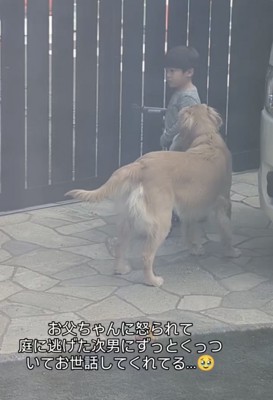 フェンスの前で立ち止まる男の子と寄り添う犬