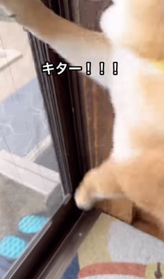 テンションは一気にMAX