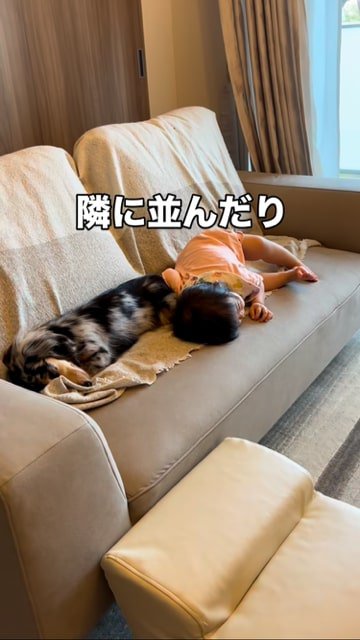 ソファーで並んで寝る子どもと犬