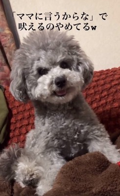 唸りだすたろうまるくん