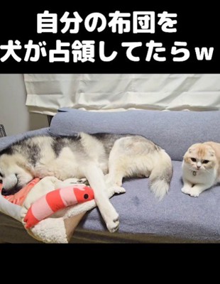 「使ってもいいよ…」