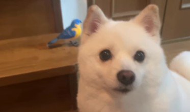 「絶対に触るな」