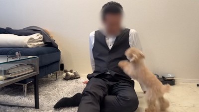 パニックの小殿くん