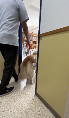 出口へ向かう犬