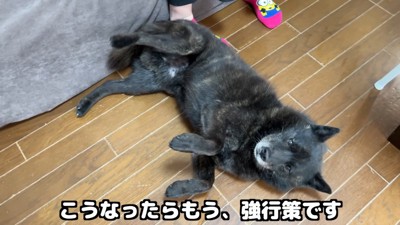 「勘弁してください～」
