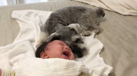 一緒に寝るトトちゃんと女の子2