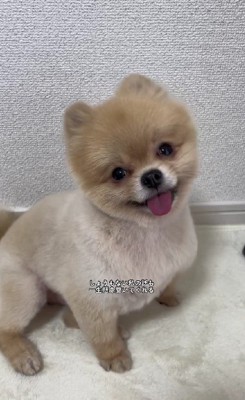 ちょっとした愚痴も…