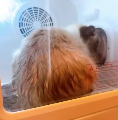 爪をひっかけて…