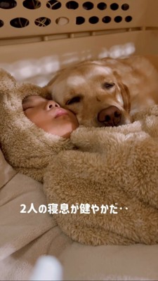 寝息を立てて寝る犬と男の子