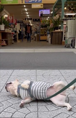 お店の前でもトレーニング♪