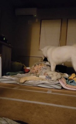 「もうすこし」