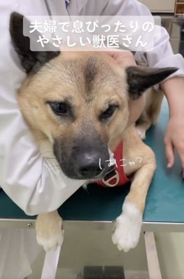 完璧にフォローしてもらいました!