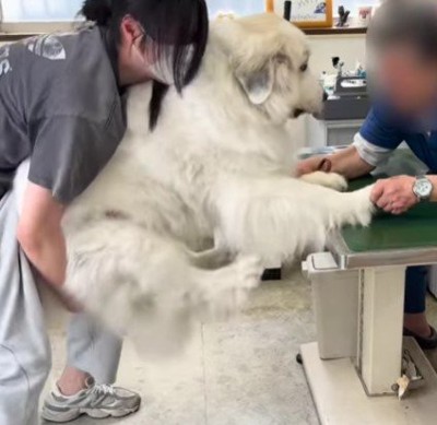 ギャップが可愛い♡