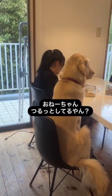 おね－ちゃん、つるっとしてるやん？