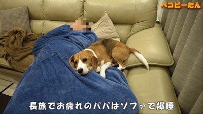 パパが出張から帰ってきた時のペコちゃん9