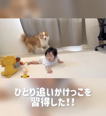 突然の「遊びたいモード」