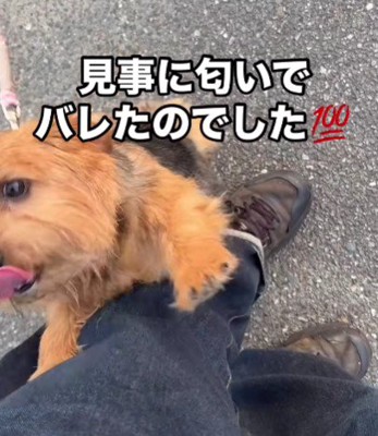 パパのニオイはすぐわかる♡