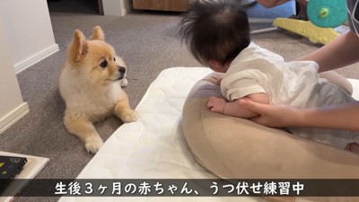 トレーニング中も見守っています